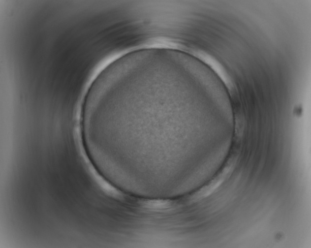 X0000102531387200808221855