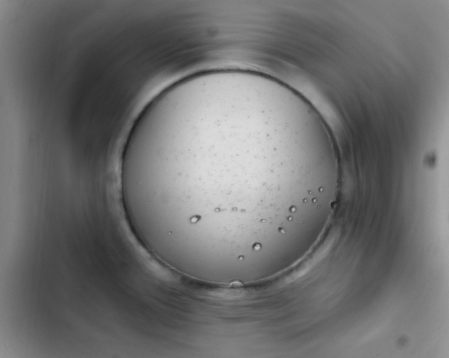 X0000102531388200808221855