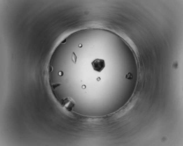 X0000102531389200808221855