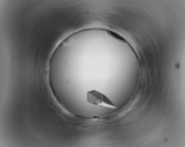 X0000102531390200808221855