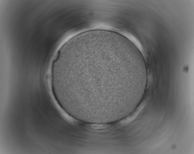 X0000102531391200808221855