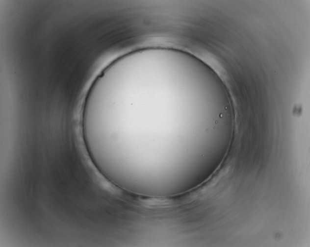 X0000102531392200808221855