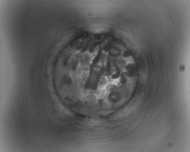 X0000102531393200808221854