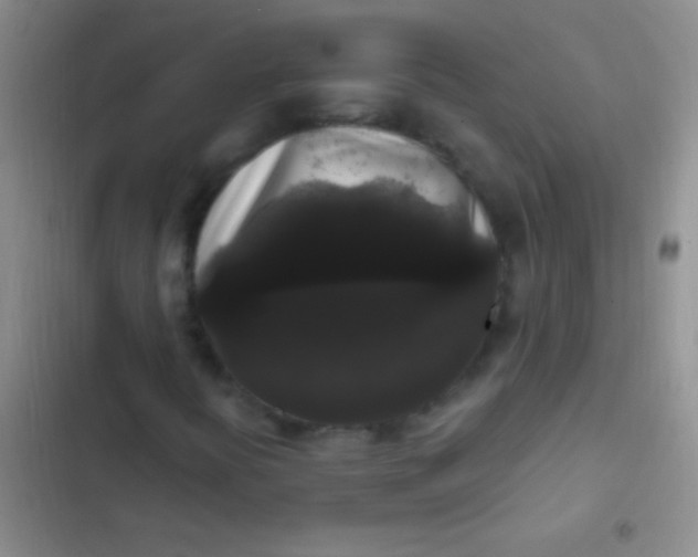 X0000102531394200808221854