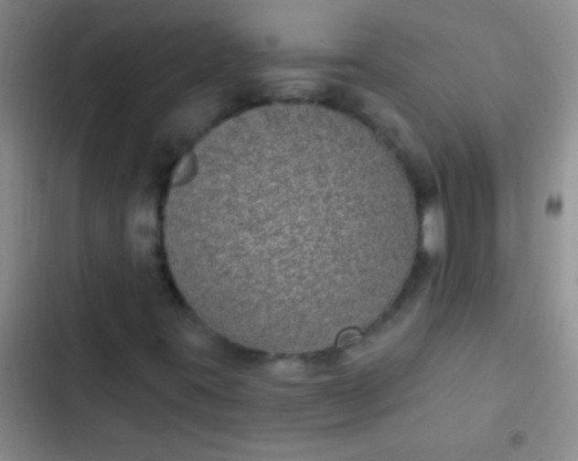 X0000102531395200808221854