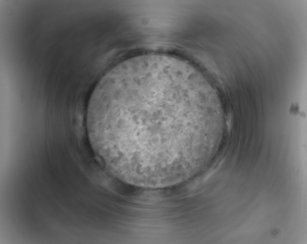 X0000102531396200808221854