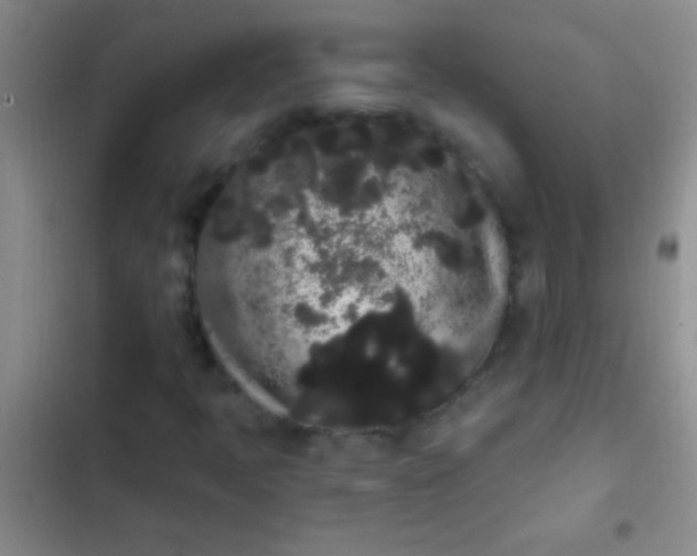 X0000102531397200808221854