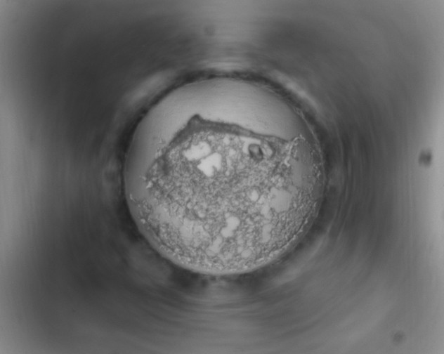 X0000102531398200808221854