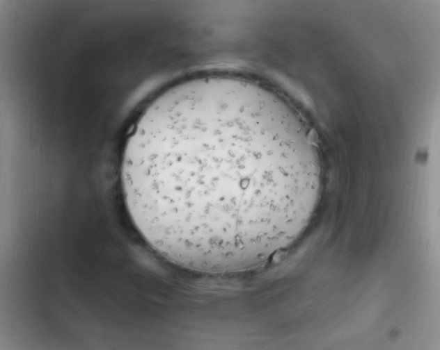 X0000102531400200808221854