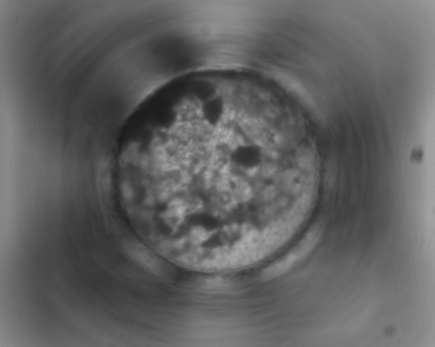 X0000102531401200808221854