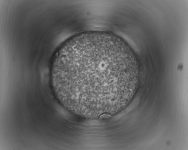 X0000102531402200808221854