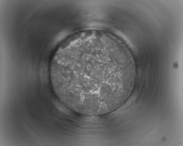 X0000102531403200808221854