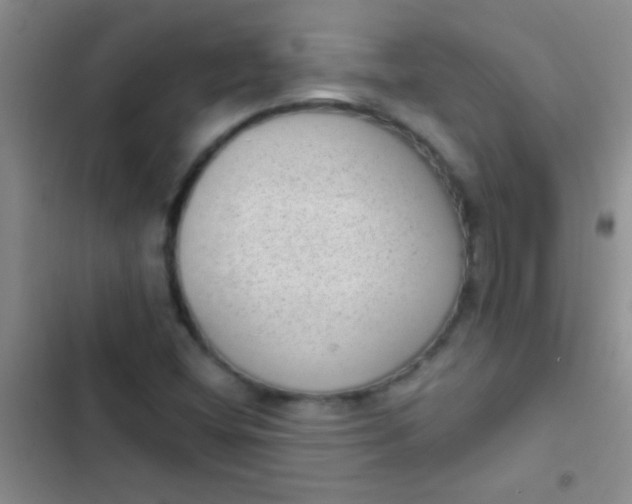 X0000102531404200808221854