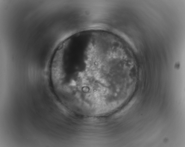 X0000102531405200808221854