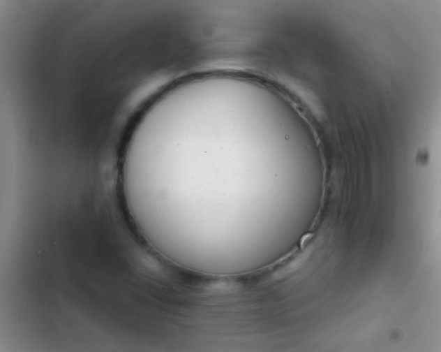 X0000102531406200808221854