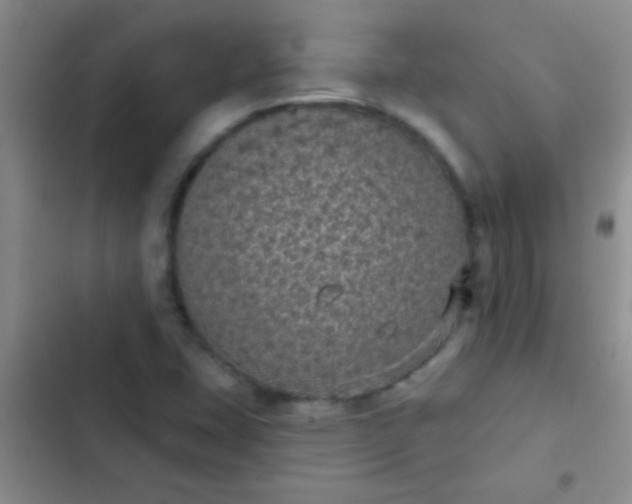 X0000102531407200808221854