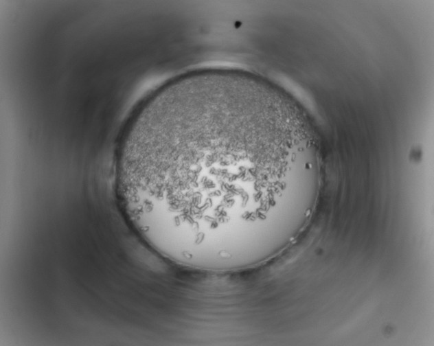 X0000102531408200808221854