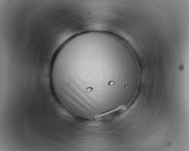 X0000102531410200808221855