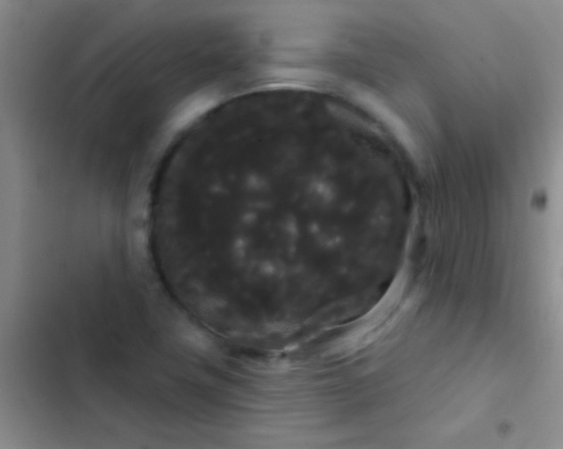 X0000102531411200808221855