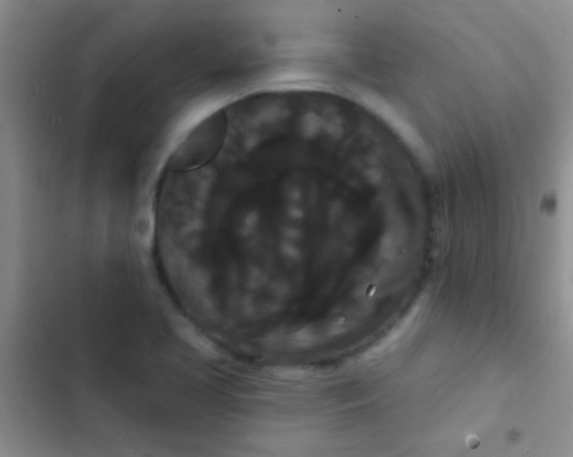 X0000102531413200808221855