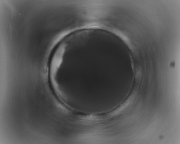 X0000102531414200808221855