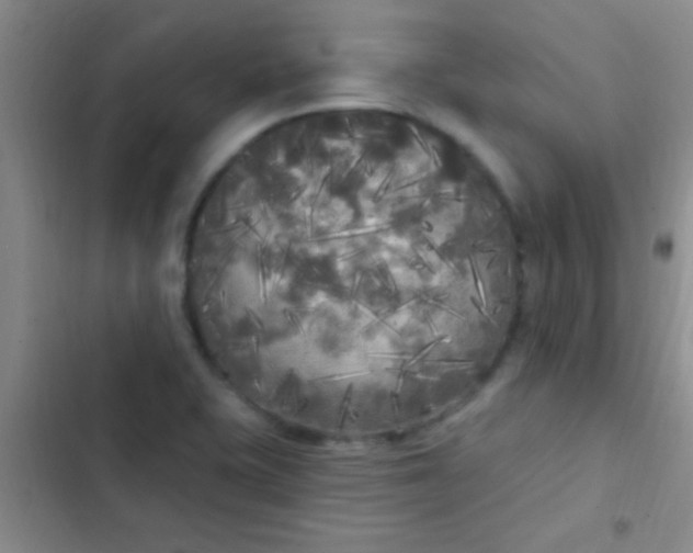 X0000102531415200808221855