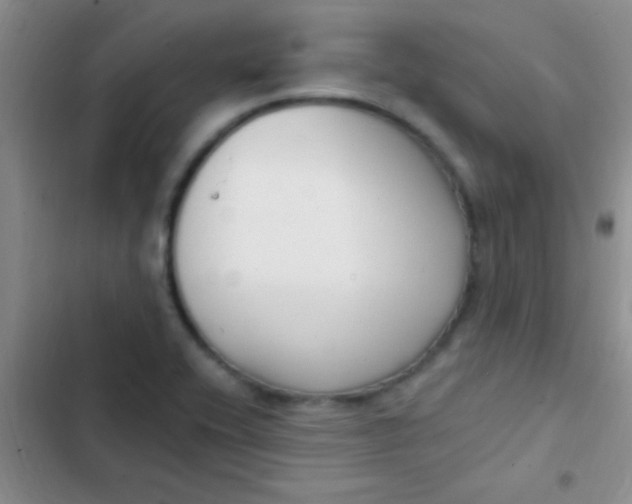 X0000102531416200808221855