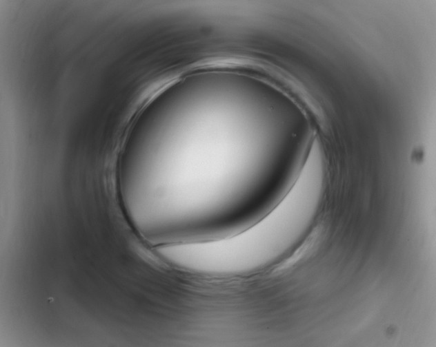 X0000102531417200808221855