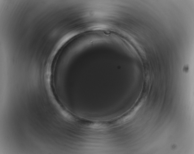 X0000102531418200808221855