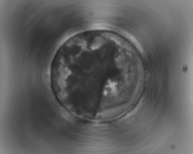 X0000102531419200808221855