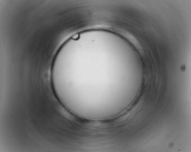 X0000102531420200808221855