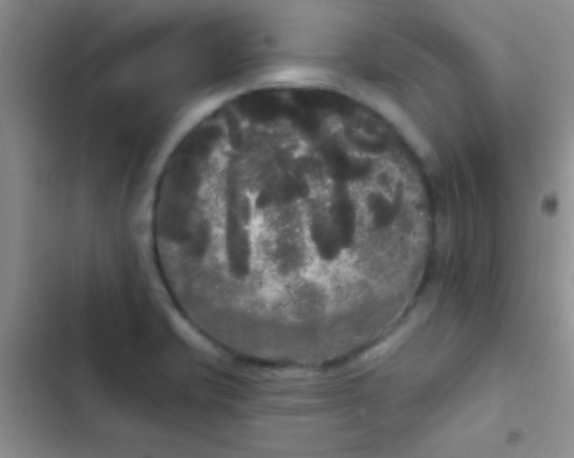 X0000102531421200808221855