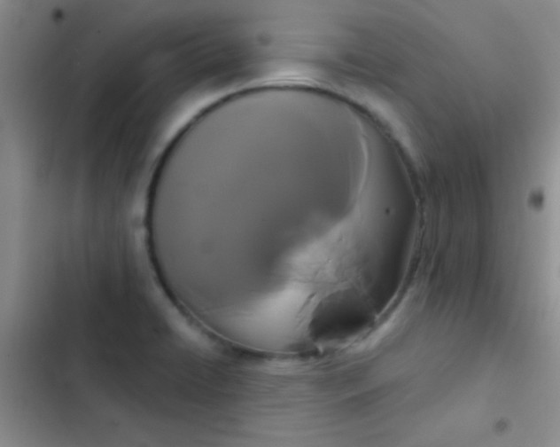 X0000102531422200808221855