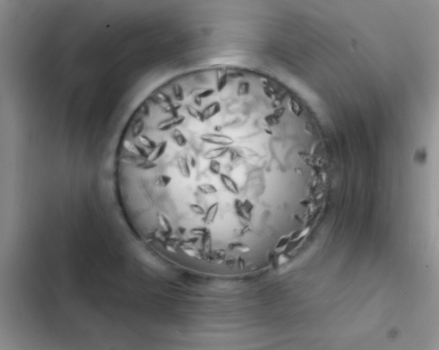 X0000102531423200808221855