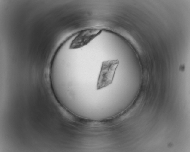 X0000102531424200808221855