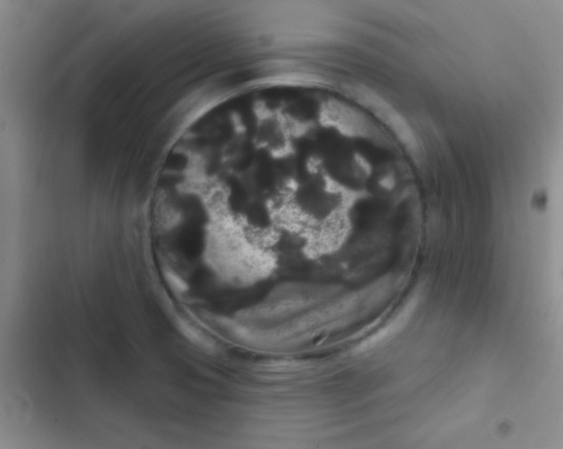 X0000102531425200808221855