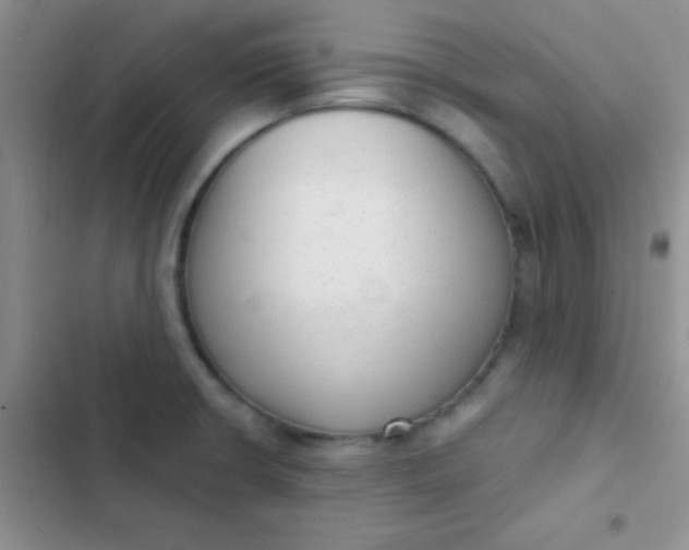 X0000102531426200808221855