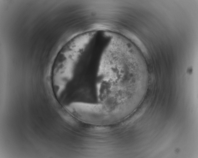 X0000102531427200808221855