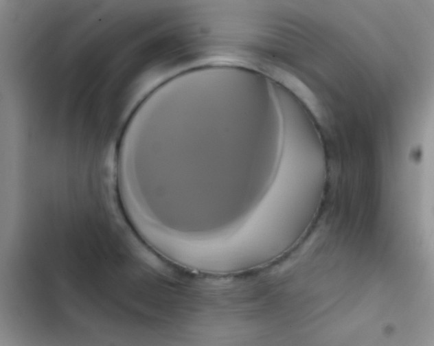 X0000102531428200808221855