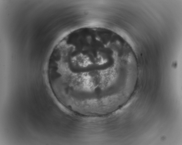 X0000102531429200808221855