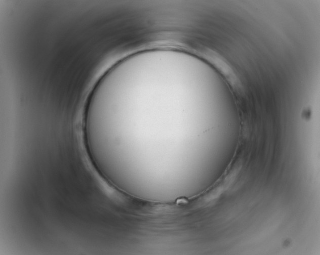 X0000102531430200808221855