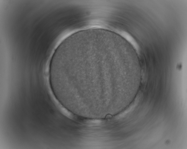 X0000102531431200808221855