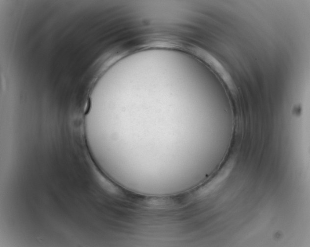 X0000102531433200808221855