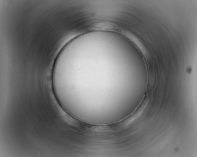 X0000102531434200808221855