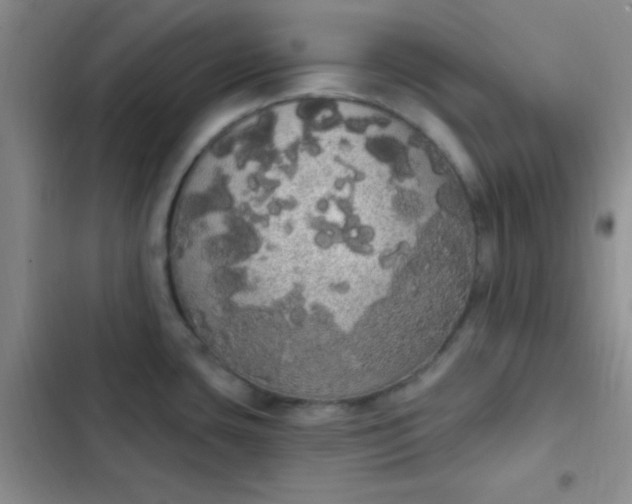 X0000102531435200808221855