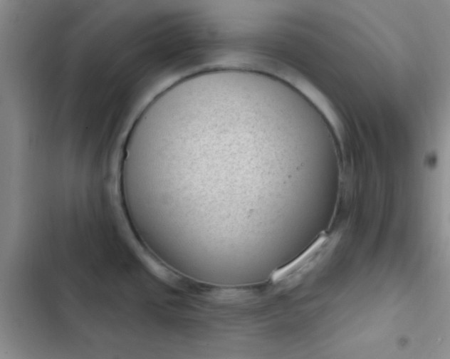 X0000102531437200808221855