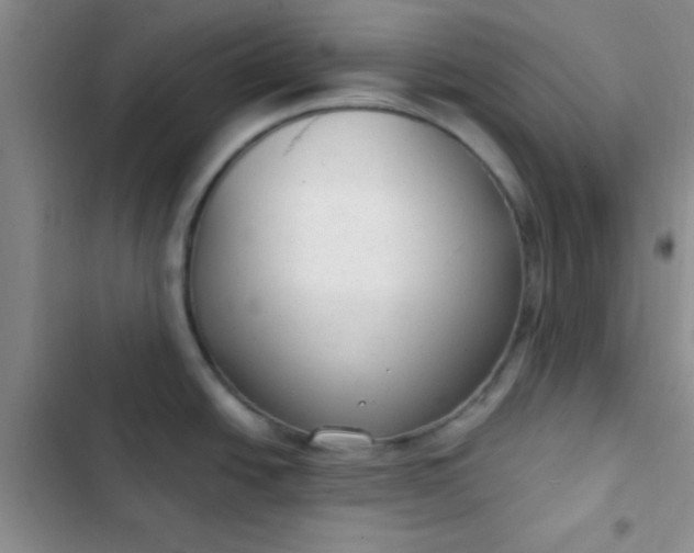 X0000102531438200808221855