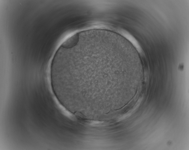 X0000102531439200808221855