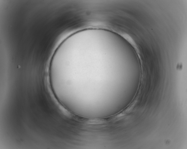 X0000102531440200808221855