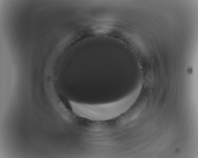 X0000102531441200808221854